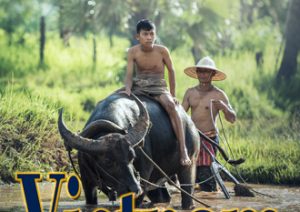Experiencia cultural en Vietnam - Turismo desde Mallorca